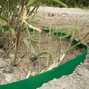 Barrière anti-racine PEHD 2 mm vert, longueur 25 m, largeur 70 cm