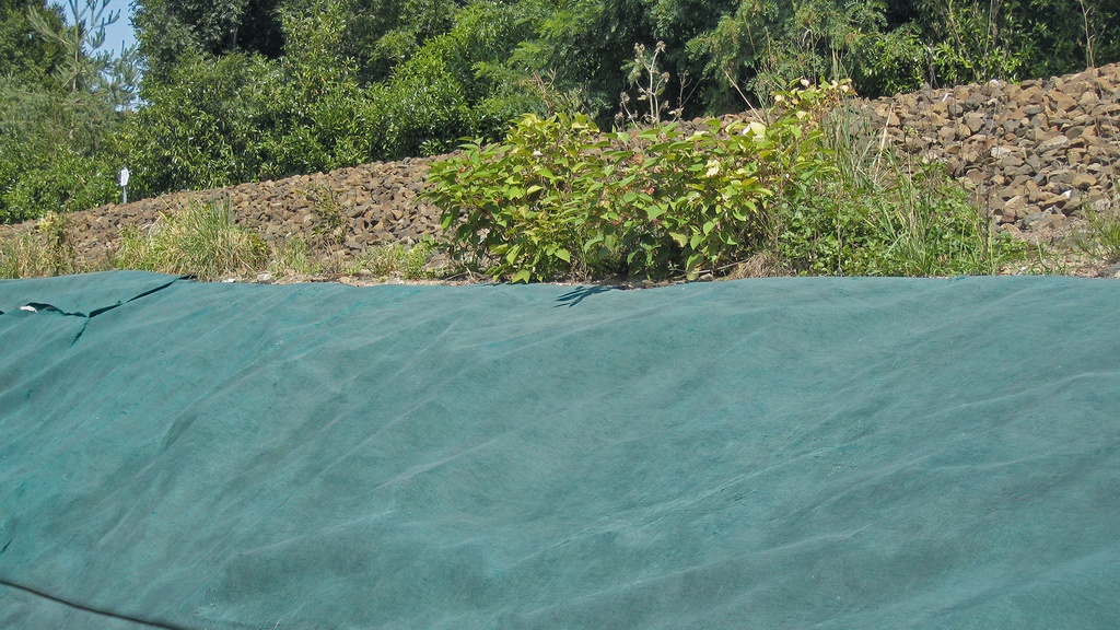 Toison contre mauvaises herbes PLANTEX PLATINIUM GREEN, 240 g/m², longueur 50 m, largeur 250 cm