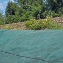 Toison contre mauvaises herbes PLANTEX PLATINIUM, longueur 50 m, largeur 250 cm