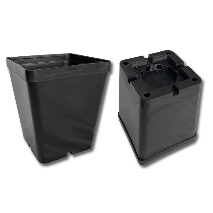 Kakteen-Container schwarz 12 x 12 x 14 cm, 270 Stück