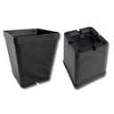 Kakteen-Container schwarz 12 x 12 x 14 cm, 270 Stück