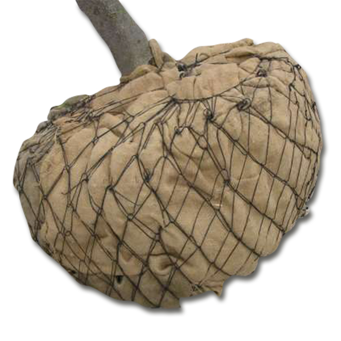 Ballierungsnetz aus Draht, Ø 200 cm (No. 8), Pack à 5 Stk.