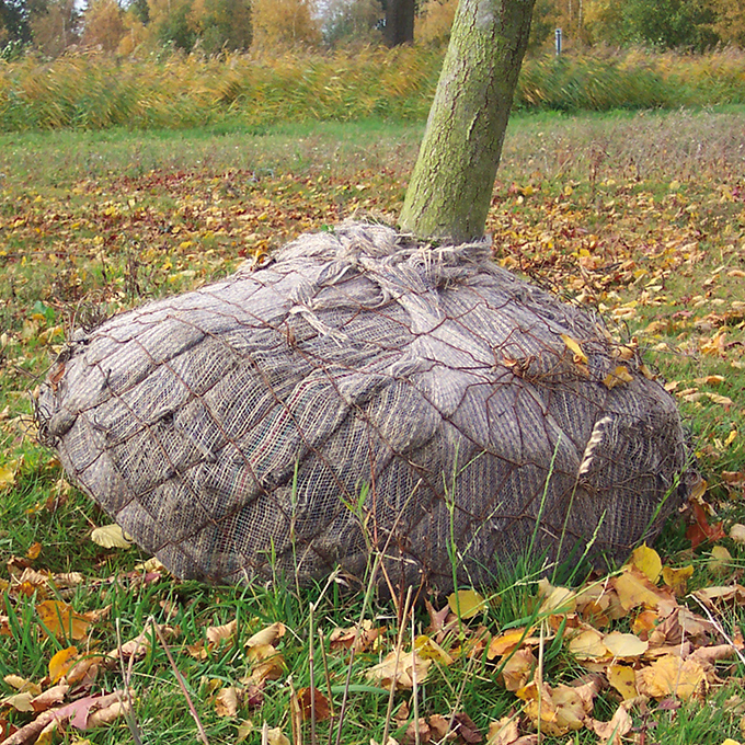 Balliergewebe PLANTATEX 160 cm breit, Rolle à 100 m