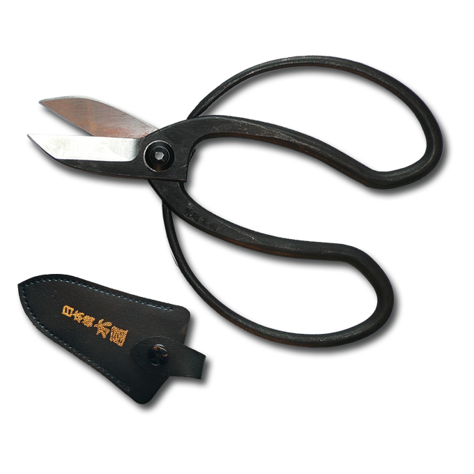 Japaner Bonsaischere KORYU