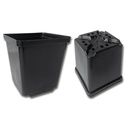 Kakteen-Container schwarz 11 x 11 x 12 cm, 495 Stück