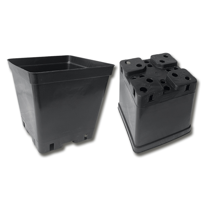 Kakteen-Container schwarz 18 x 18 x 18 cm, 108 Stück