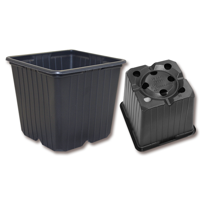 Vierecktopf DESCH Range 5° schwarz 9 x 9 x 8 cm, 1216 Stück