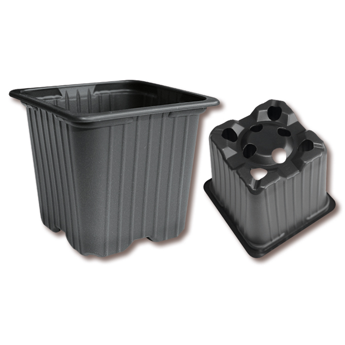 Vierecktopf DESCH 5° schwarz 7 x 7 x 6 cm, 3612 Stück