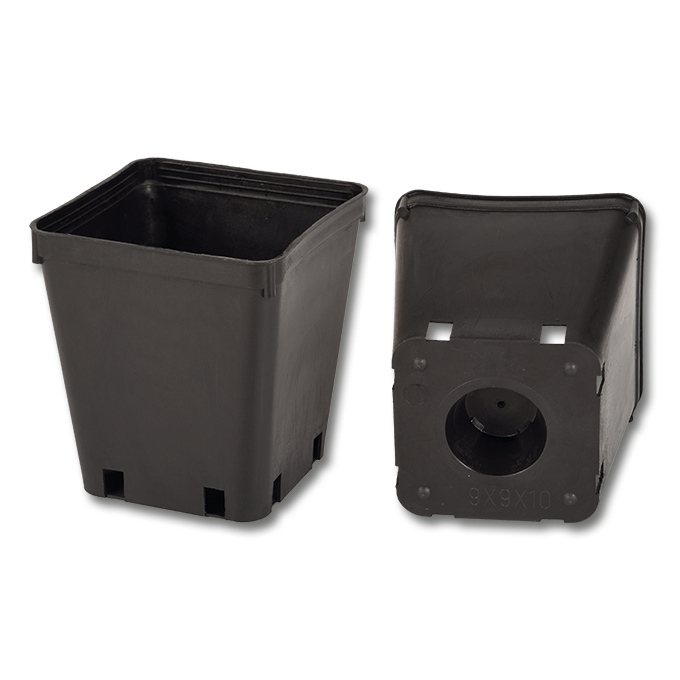 Kakteen-Container schwarz 9 x 9 x 10 cm, 320 Stück