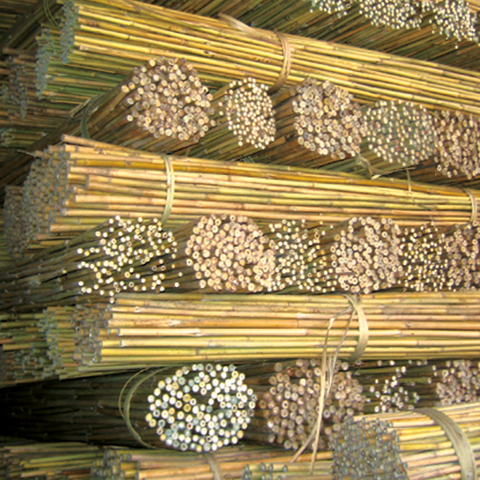 Bâton de Tonkin 180 cm, ø 15-17 mm, botte de 100 pièces