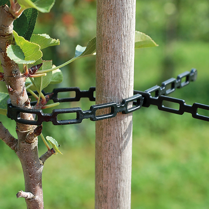 Kettenband, 330 mm lang, Beutel à 500 Stück