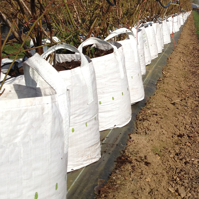 Conteneur pépinière White Bag 350 lt