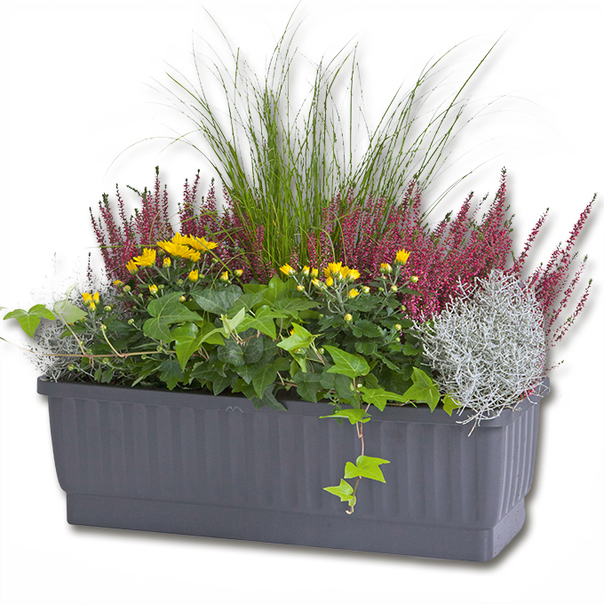 Blumenkasten VENEZIA braun 80 cm, inkl. Wasserstandsanzeiger