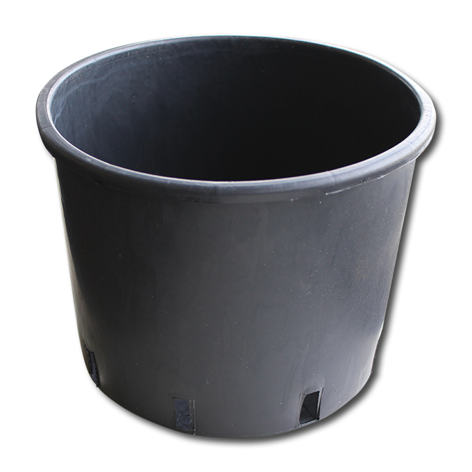 Conteneur pépinière noir 15 lt, forme basse