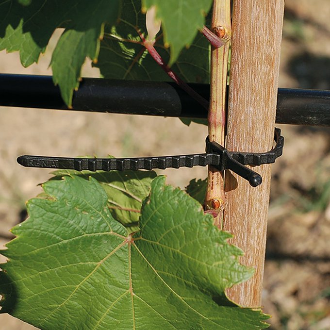 Attache à crans, longueur 310 mm, sachet de 250 pièces