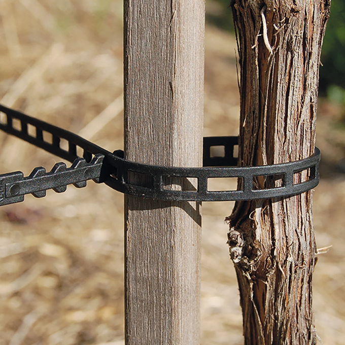 Rebband, 360 mm lang, Beutel à 250 Stück