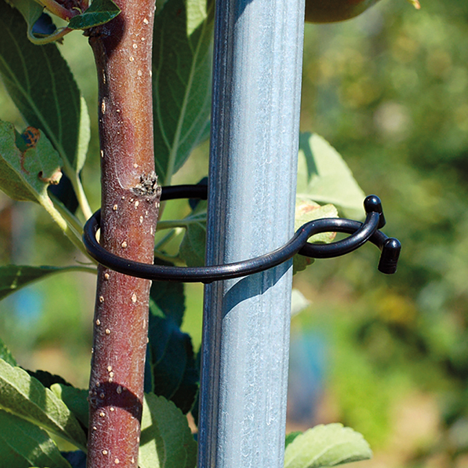 Attache circulaire polyvalente, Ø 32 mm, sachet de 1000 pièces