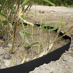 [137.355] Rhizomsperre HDPE 2 mm, 25 m lang 100 cm breit