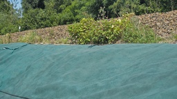 [137.030] Toison contre mauvaises herbes PLANTEX PLATINIUM GREEN, 240 g/m², longueur 100 m, largeur 250 cm