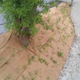 [137.430] Tissu en jute pour la protection des talus, 210 g/m2,  longueur 50 m, largeur  200 cm