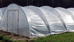 [134.110] Gewächshausfolie transparent, Länge 30 m, Breite 650 cm, Dicke 0.18 mm