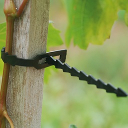 [203.780] Plastoband 430 mm, Beutel à 1000 Stück