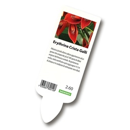 [403.575] Étiquettes à ficher pour imprimante laser blanche, 50 x 140 mm, 2'000 étiquettes