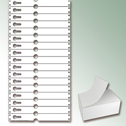 [418.700] TYVEK®-Schlaufenetiketten weiss, 220 x 25.50 mm, Pack à 1'000 Etiketten