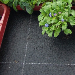 [150.720] Tapis d'irrigation VIVAPLUS, 300 g/m², 2 couches, longueur 50 m, largeur 165 cm