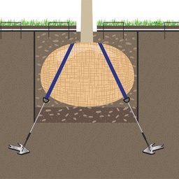 [202.840] Ancrage de motte avec ancres, hauteur de l'arbre de 4.5-7 m
