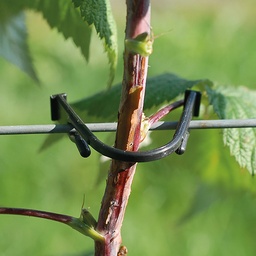 [203.400] Allzweckklammer, 70 mm lang, Beutel à 1000 Stück