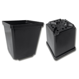 [230.230] Kakteen-Container schwarz 11 x 11 x 12 cm, 495 Stück