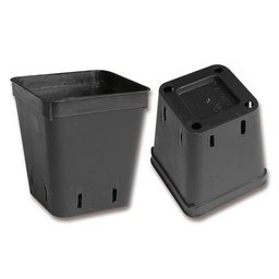 [230.198] Conteneurs rectangulaires noirs 6 x 6 x 7 cm, 2000 pièces