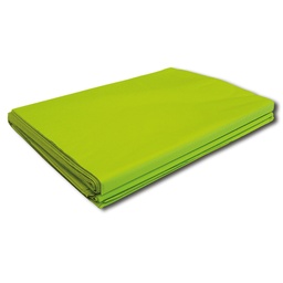 [250.060] Blumenpapier 30 g/m2, klarapfel, 75 x 100 cm, Pack à 10 kg