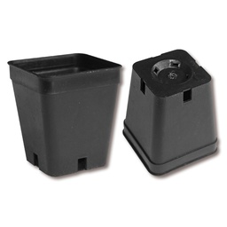 [230.195] Kakteen-Container schwarz 5 x 5 x 6 cm, 2700 Stück