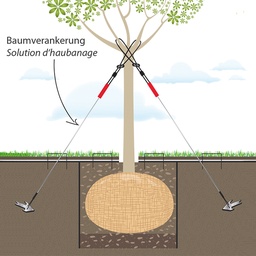 [202.885] Kit d’haubanage, hauteur de l'arbre de 4-7 m