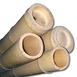 [239.810] Bâtons de bambou pour la décoration 300 cm, ø 70/80 mm, écru