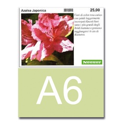 [403.042] Étiquettes A6 pour imprimante laser blanche, 148 x 105 mm, feuille de 4 etiquettes